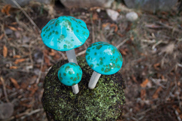Shroomyz – Funtasmic Collection – Turquoise Turtle - Image 1 of 5 | Garden Decor