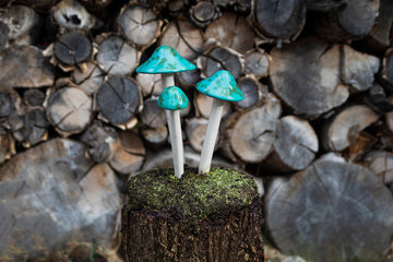 Shroomyz – Funtasmic Collection – Turquoise Turtle - Image 2 of 5 | Garden Decor