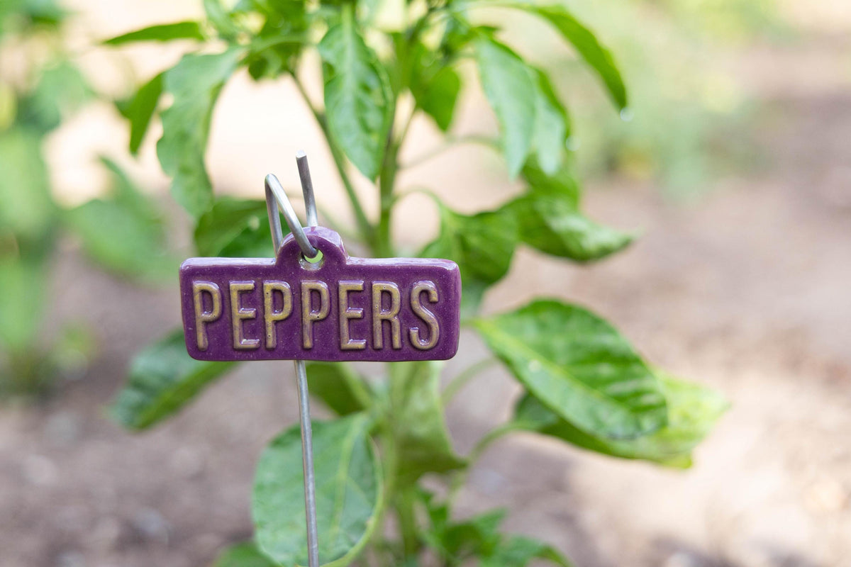 Garden Markers – Vegetables & Fruits - Image 4 of 11 | Garden Decor