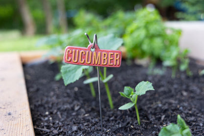 Garden Markers – Vegetables & Fruits - Image 6 of 11 | Garden Decor