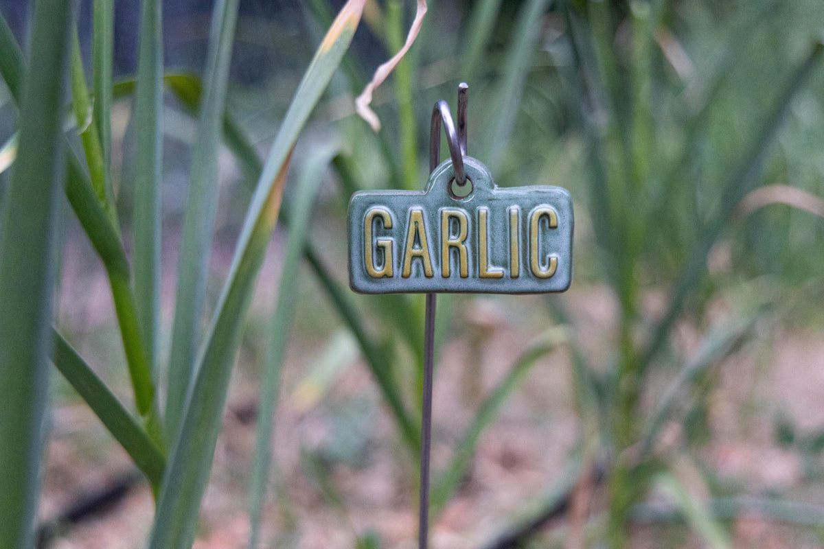 Garden Markers – Vegetables & Fruits - Image 7 of 11 | Garden Decor
