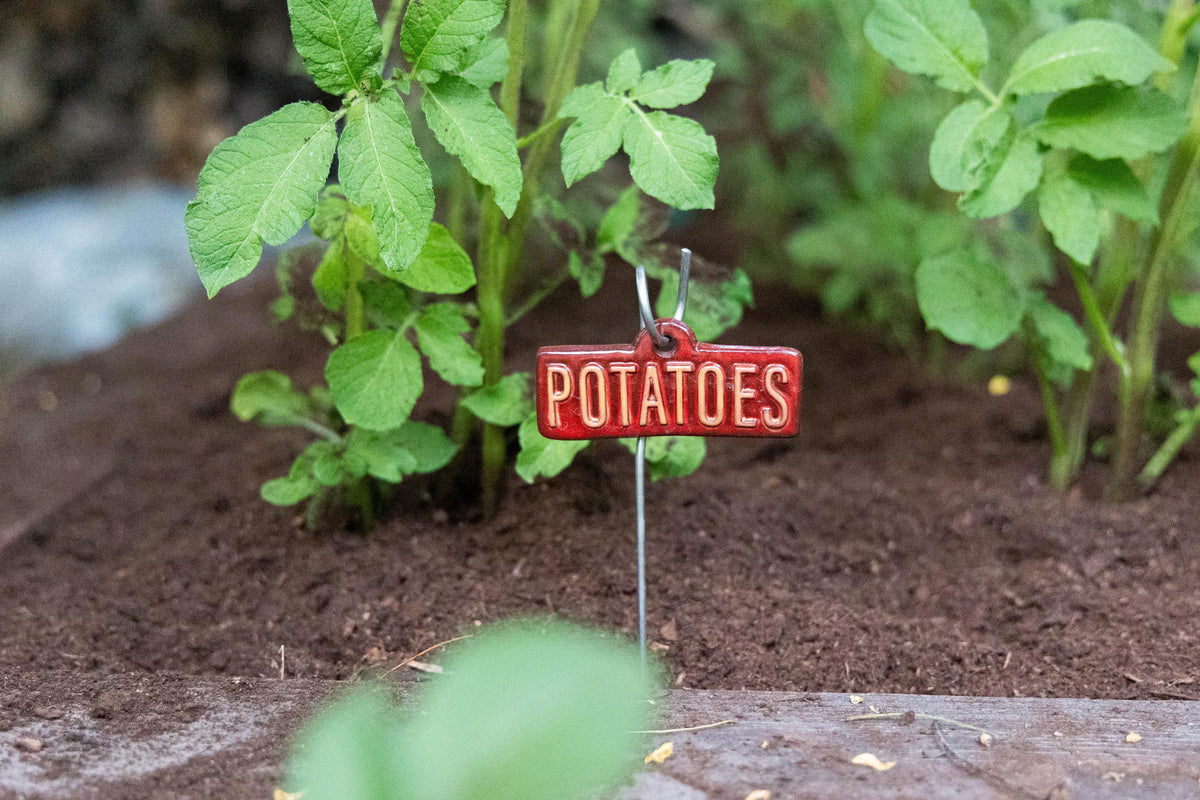 Garden Markers – Vegetables & Fruits - Image 8 of 11 | Garden Decor