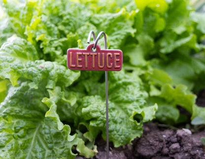 Garden Markers – Vegetables & Fruits - Image 9 of 11 | Garden Decor
