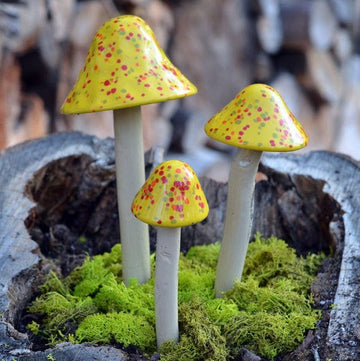 Shroomyz – Crystal Collection – Wildfire - Image 1 of 7 | Garden Decor