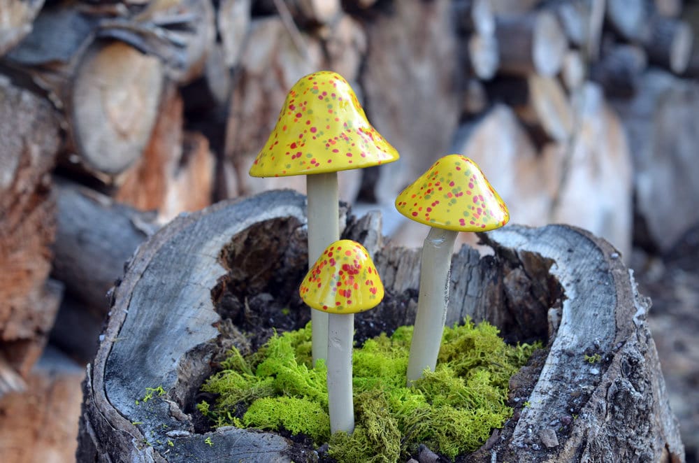 Shroomyz – Crystal Collection – Wildfire - Image 4 of 7 | Garden Decor