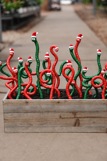 Wormyz – Christmas Colors